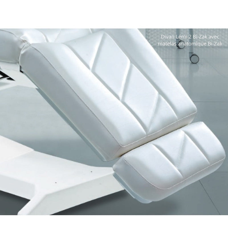 Lemi 3 Bi-Zak elektrische bank 1 Multi-speciale motor